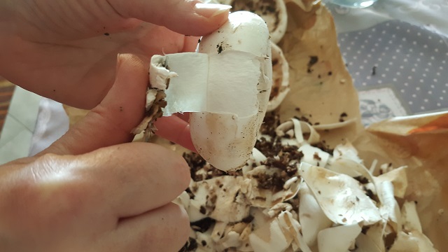 preparazione-funghi-champignon-ripieni (2)
