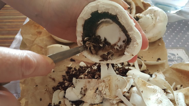 preparazione-funghi-champignon-ripieni (3)