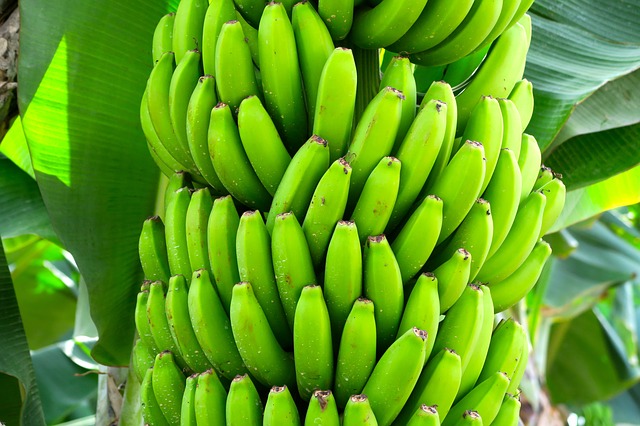 frutta esotica platano