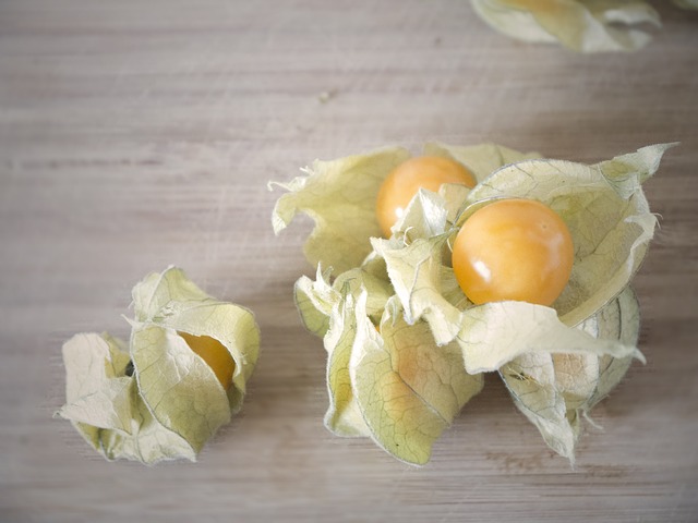 physalis alchechengi frutta esotica