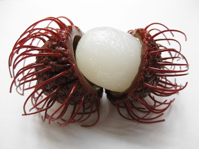 rambutan frutta esotica