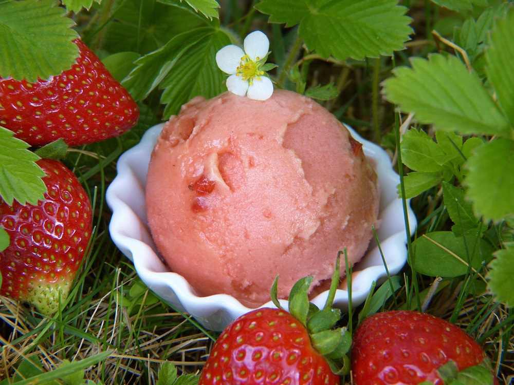 gelato bimby fragola