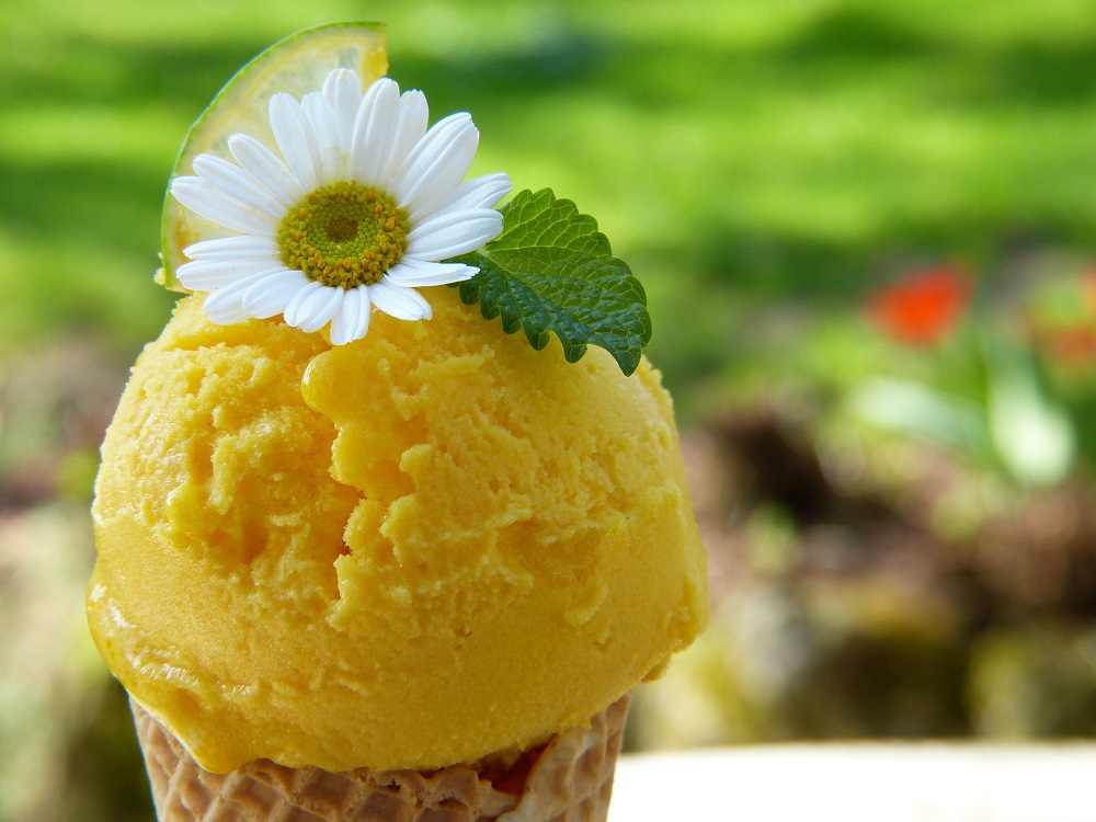 gelato bimby limone