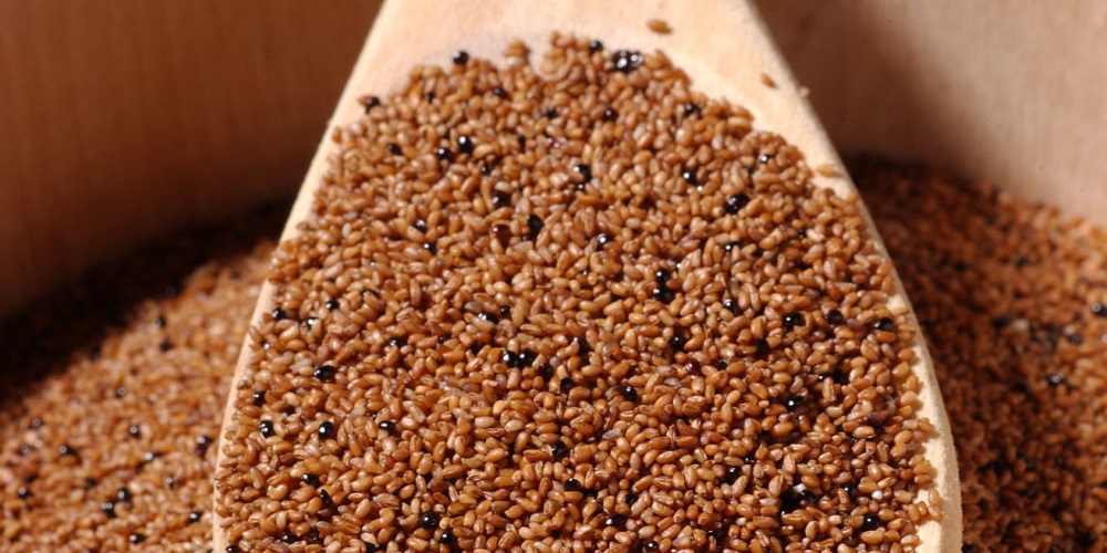 alimenti senza glutine teff