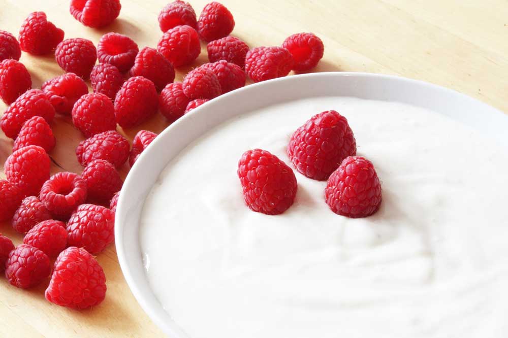 yogurt fatto in casa