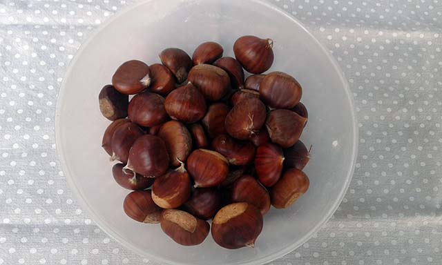 castagne bollite