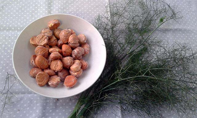 castagne bollite