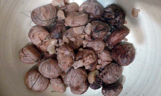 castagne bollite