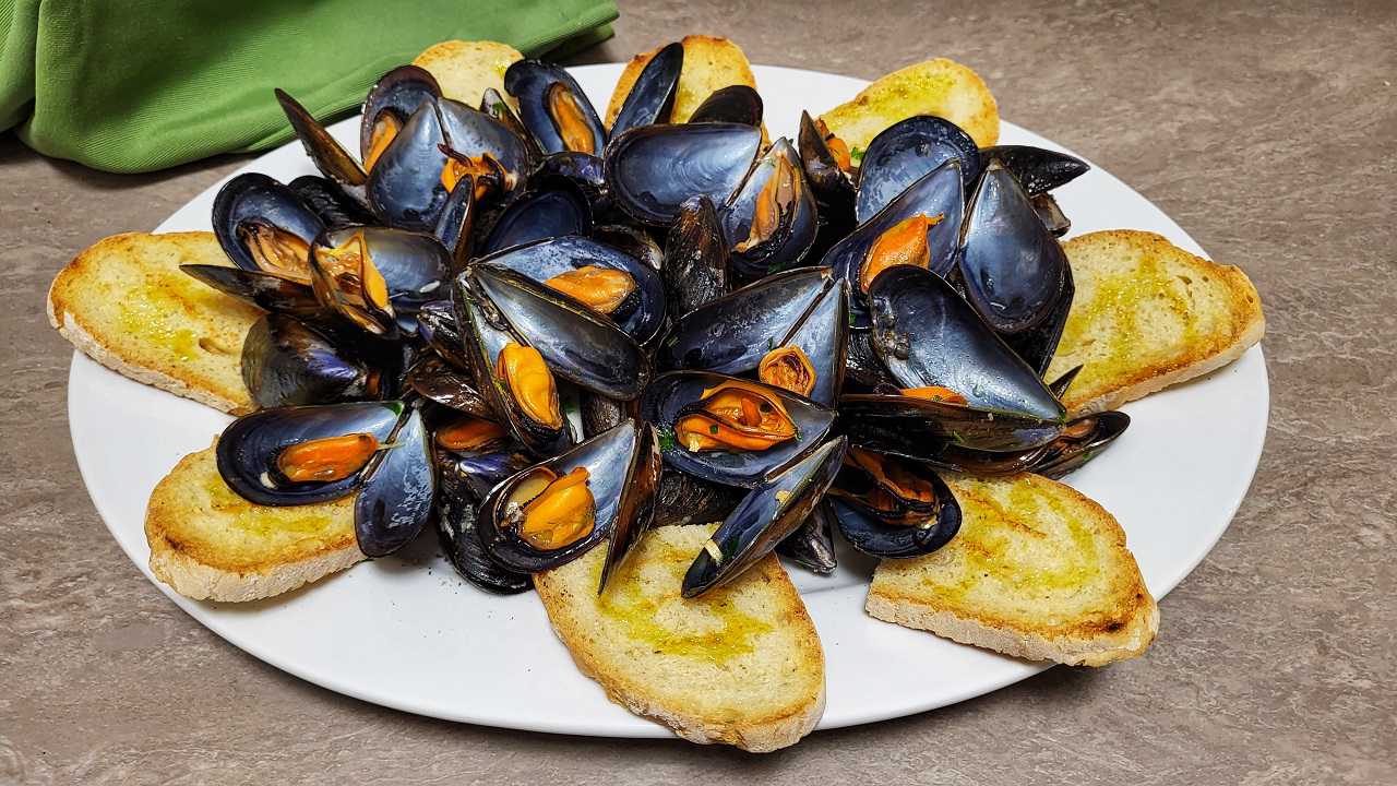 cozze alla marinara ricetta