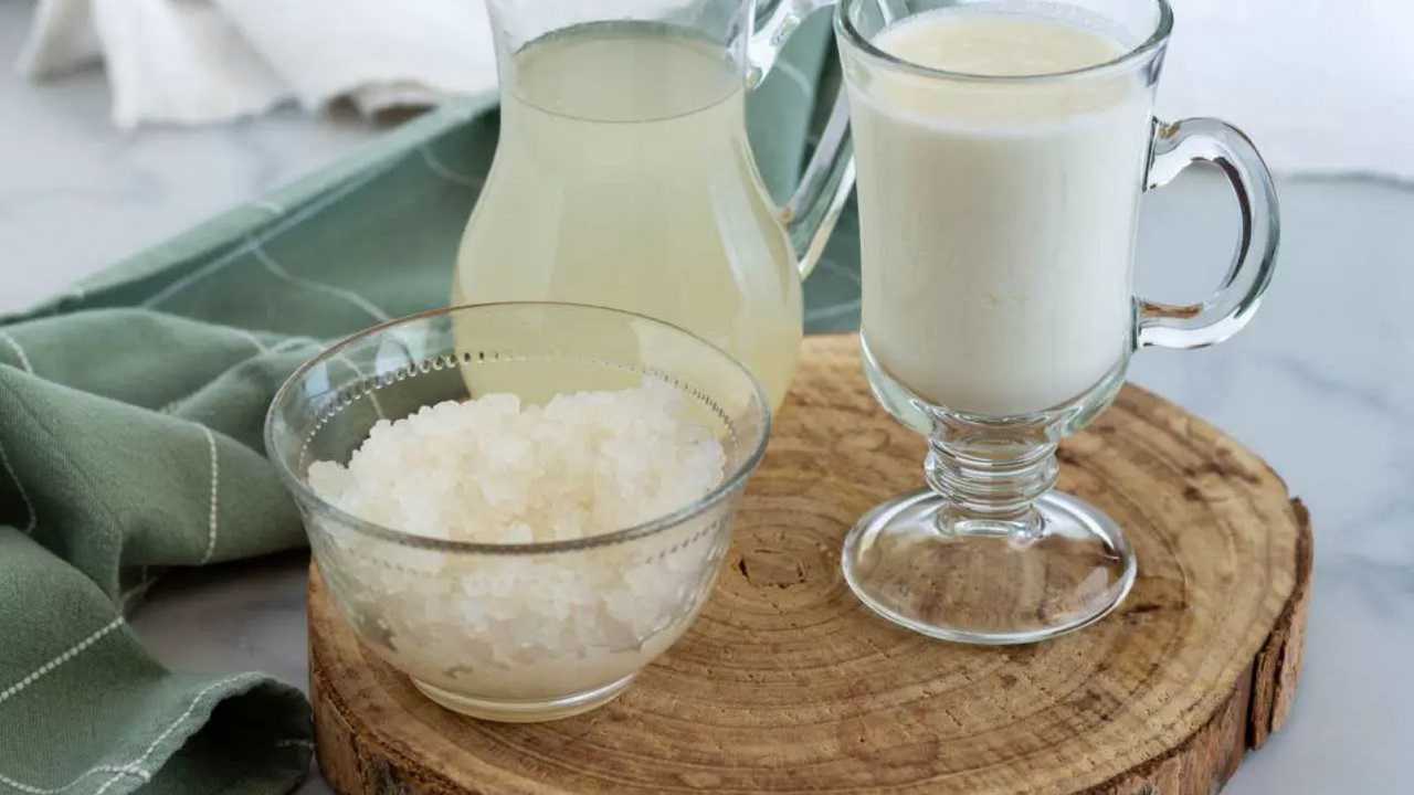 Kefir al latte o acqua ricetta