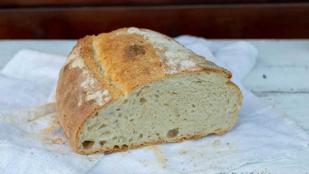 pagnotta di pane cafone tagliata a metà