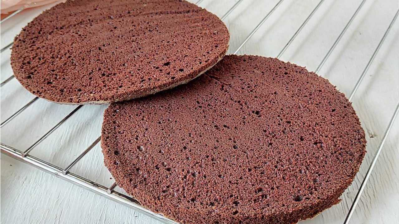 pan di spagna al cacao