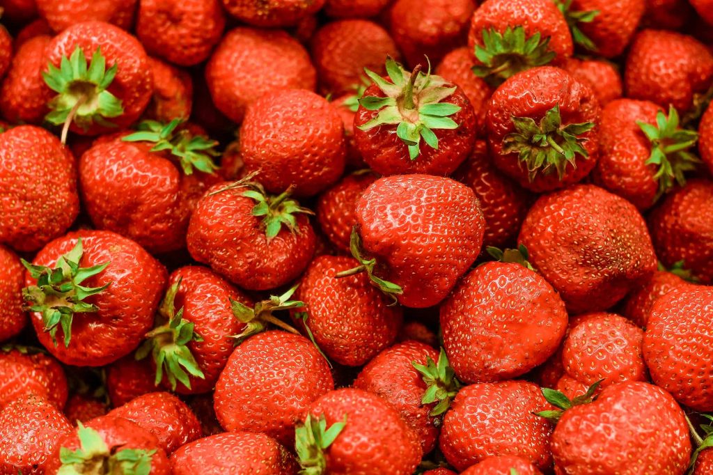 fragole rosse con picciolo